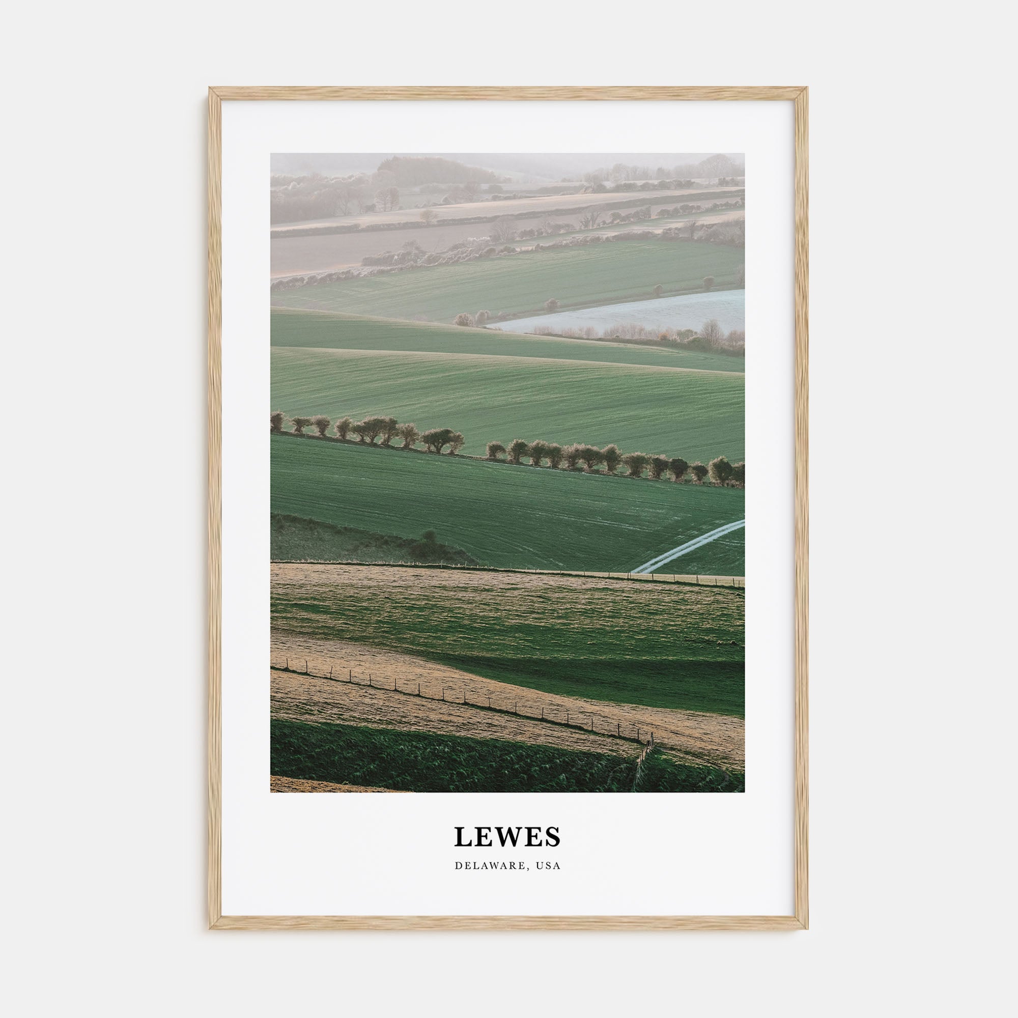 Lewes Portrait Color Poster