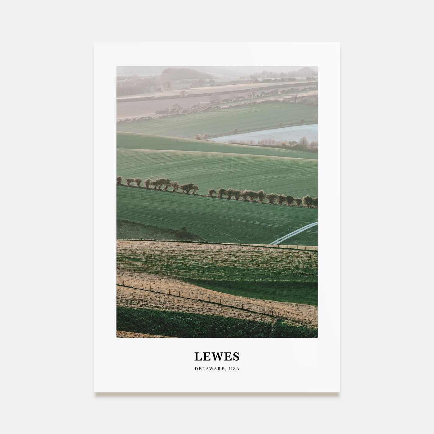 Lewes Portrait Color Poster