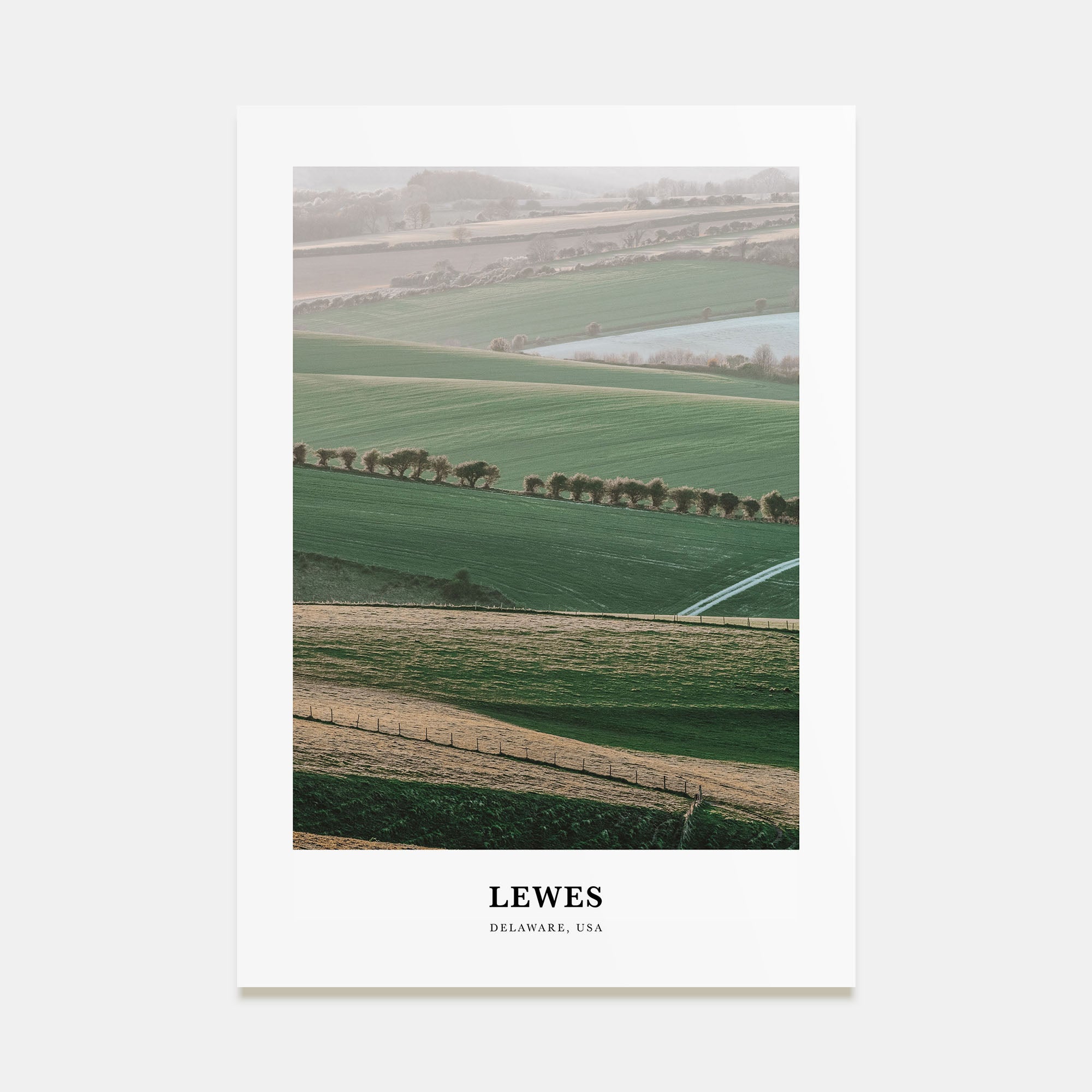 Lewes Portrait Color Poster