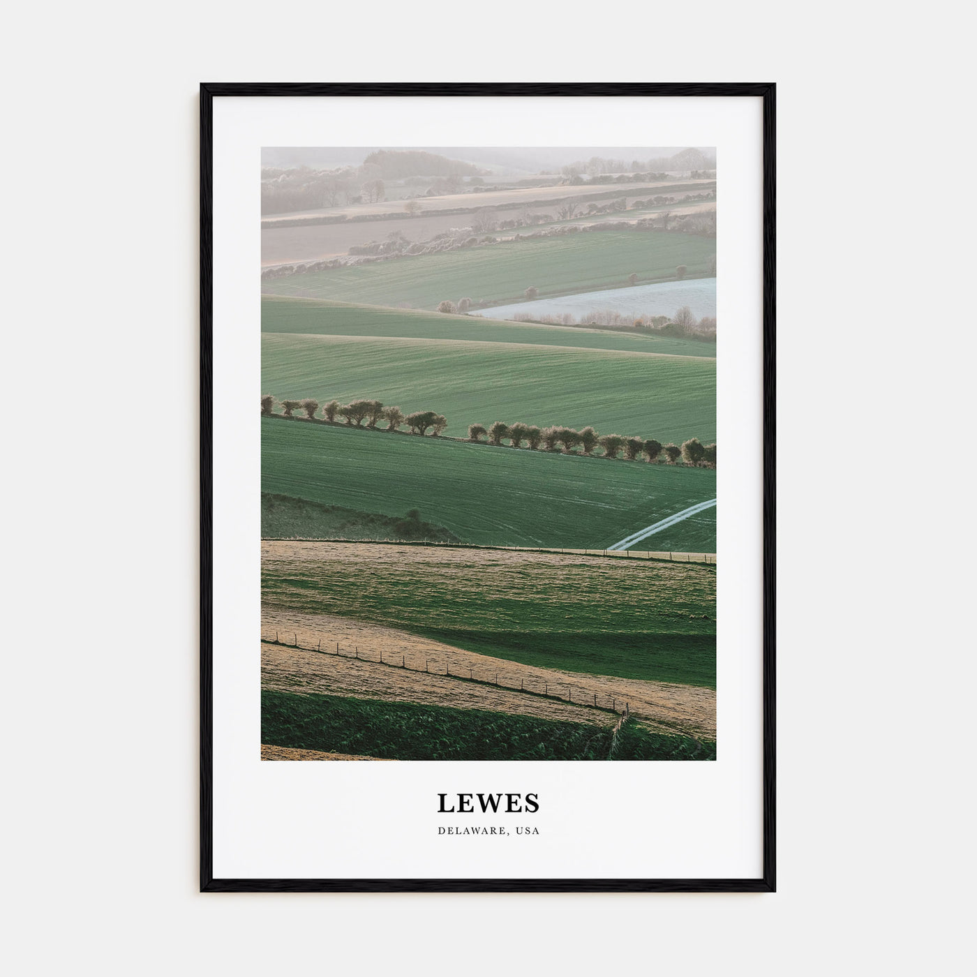 Lewes Portrait Color Poster