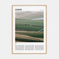 Lewes Travel Color Poster