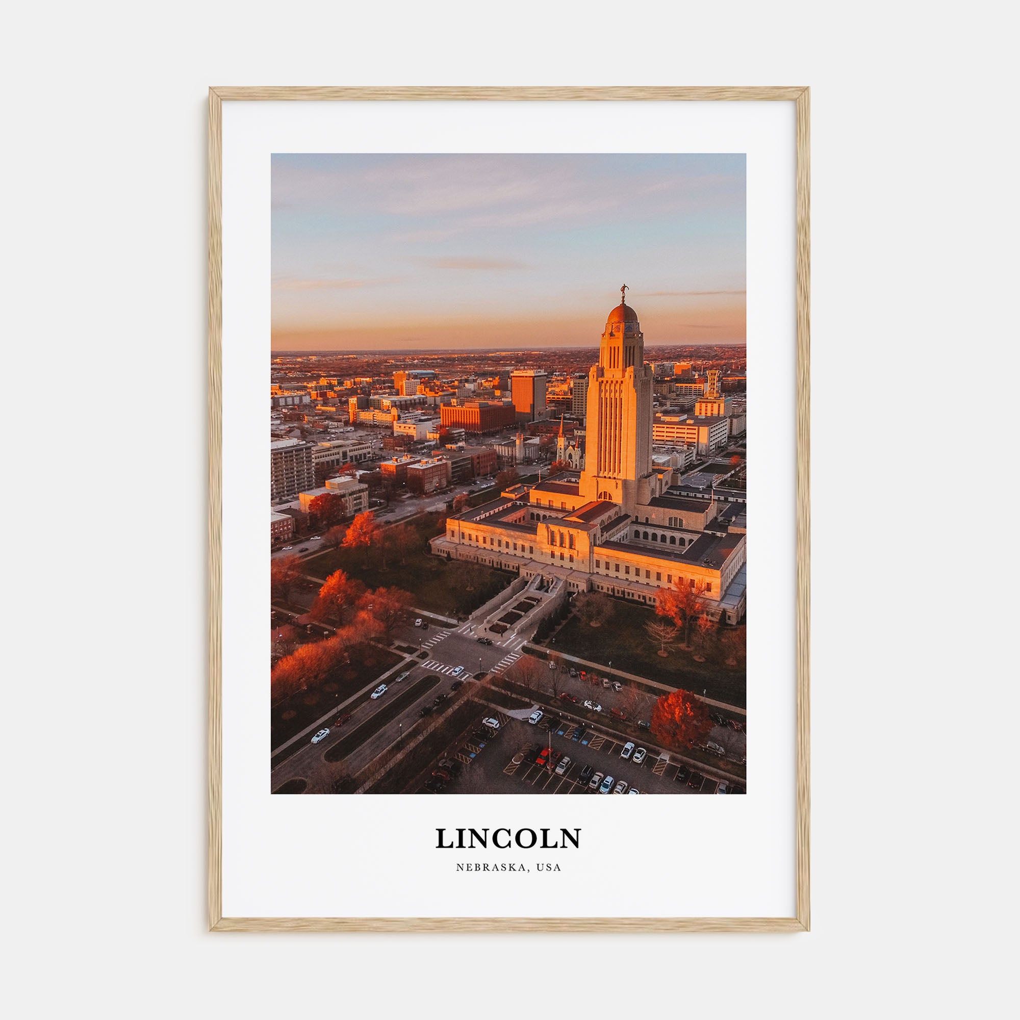 Lincoln Portrait Color Poster
