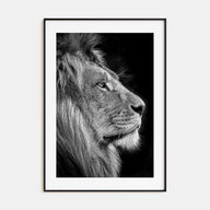 Lion Photo B&W No 1 Poster