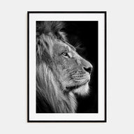 Lion Photo B&W No 1 Poster