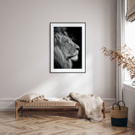 Lion Photo B&W No 1 Poster