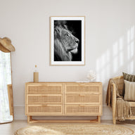 Lion Photo B&W No 1 Poster