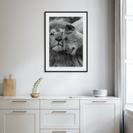 Lion Photo B&W No 2 Poster