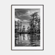 Louisiana Photo B&W Poster