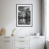 Louisiana Photo B&W Poster