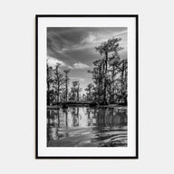 Louisiana Photo B&W Poster