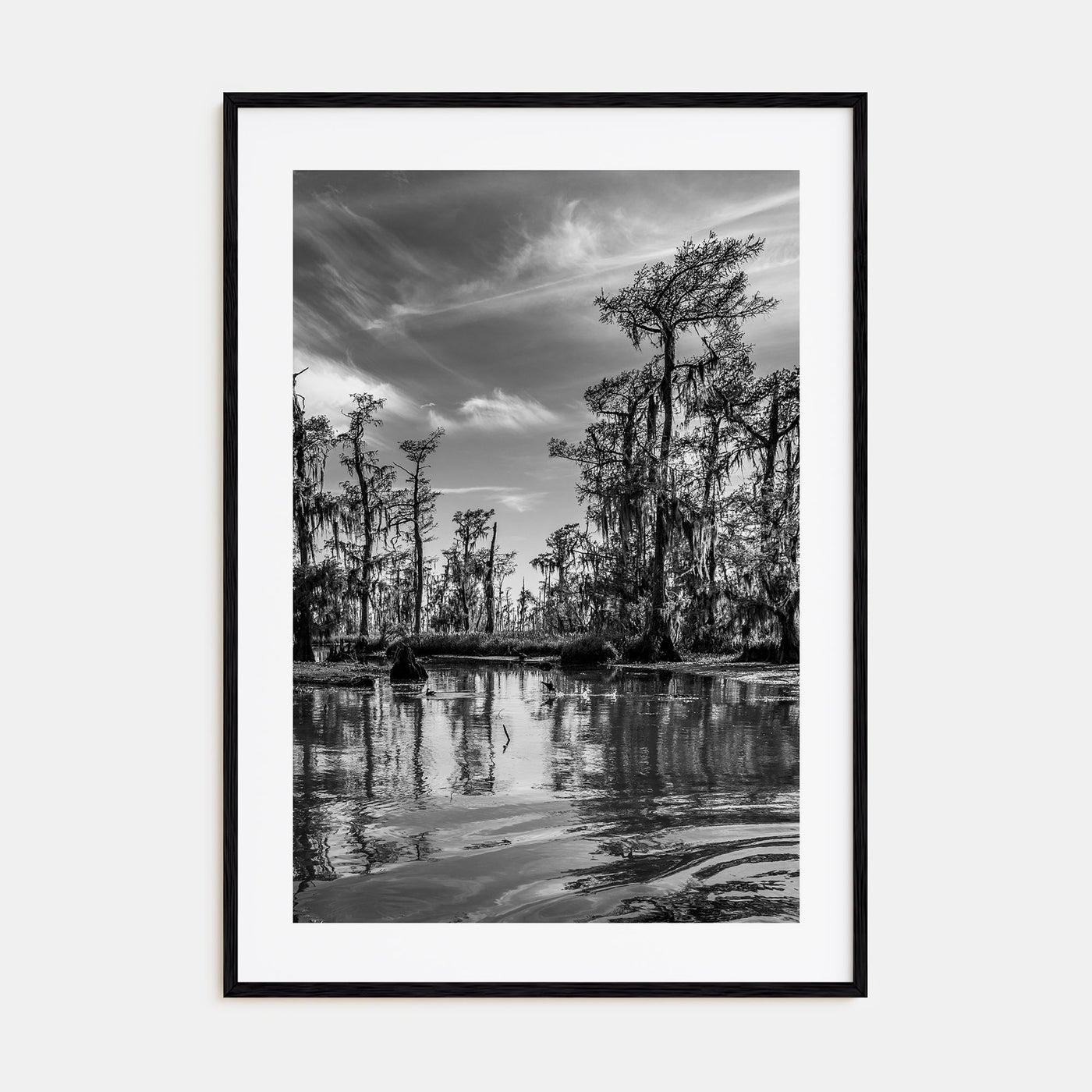 Louisiana Photo B&W Poster