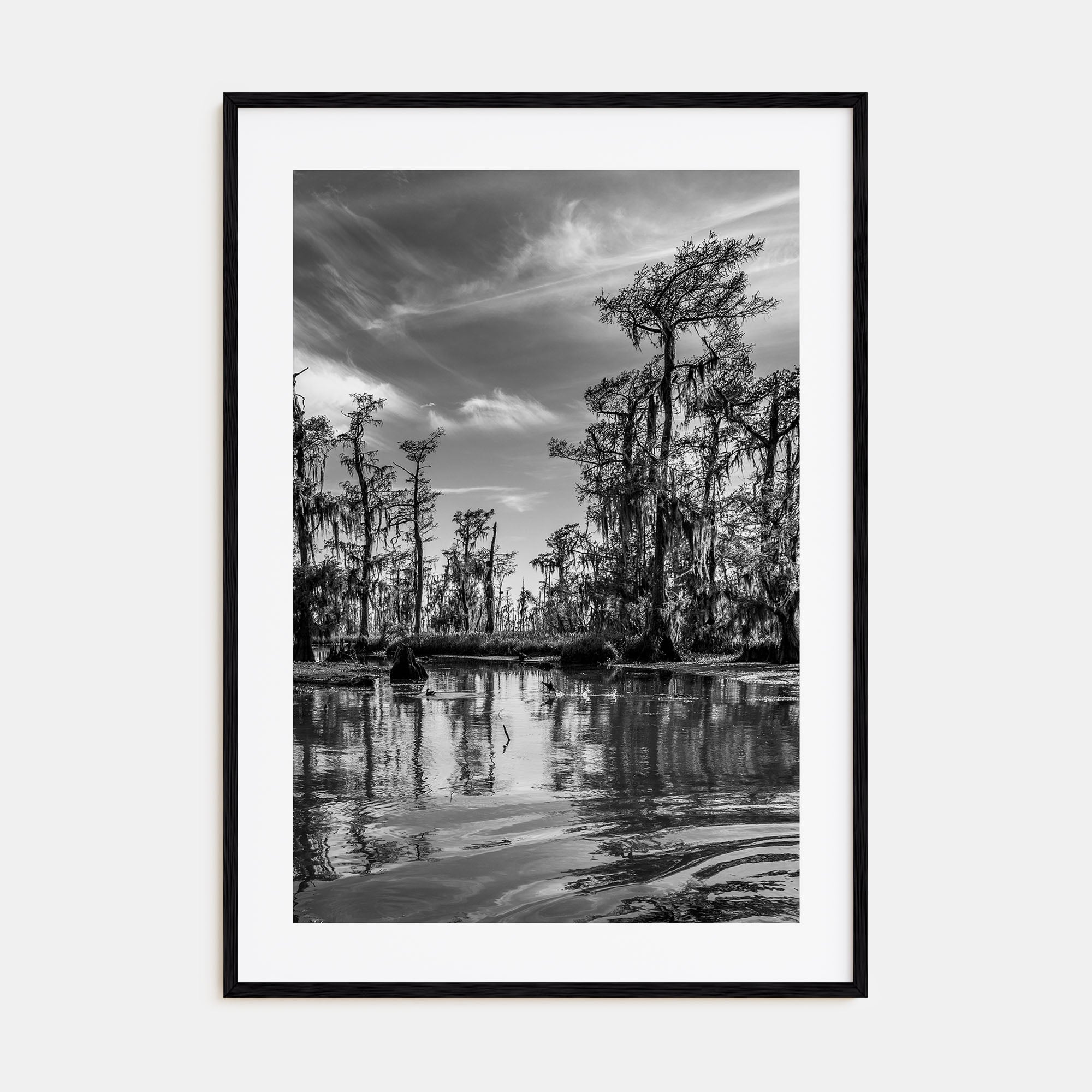 Louisiana Photo B&W Poster