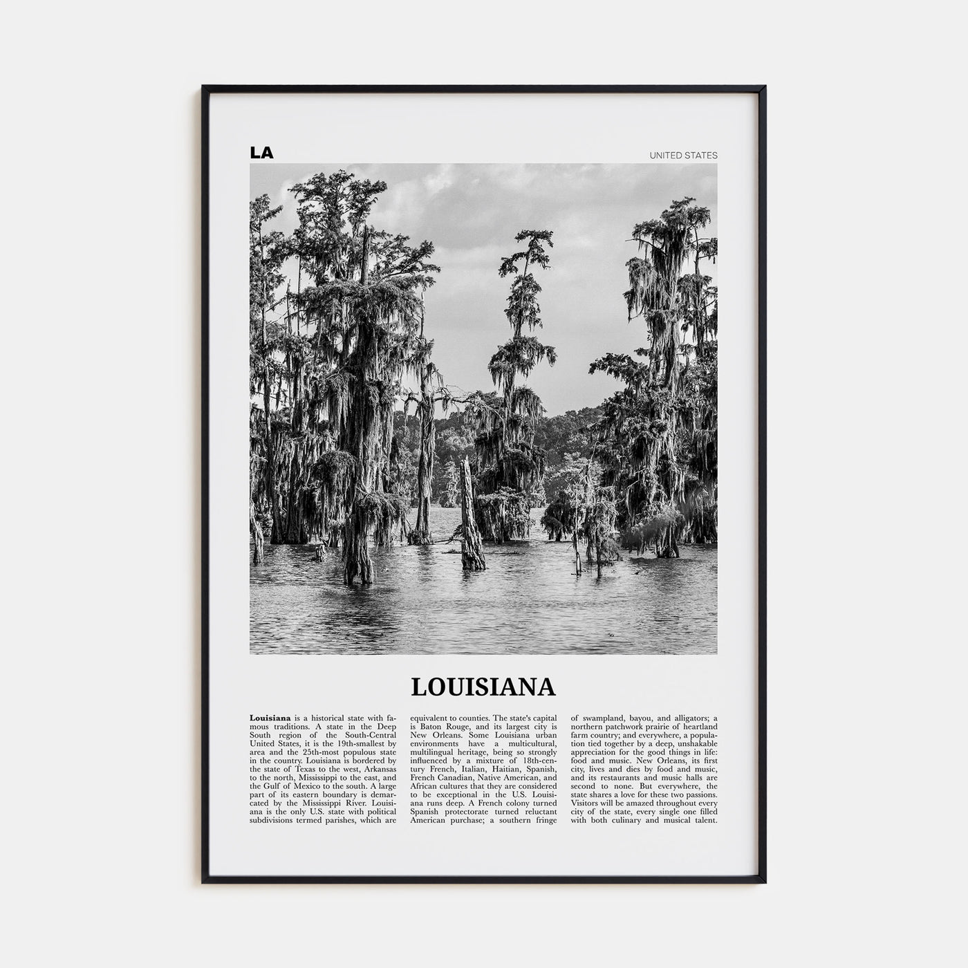 Louisiana Travel B&W No 1 Poster