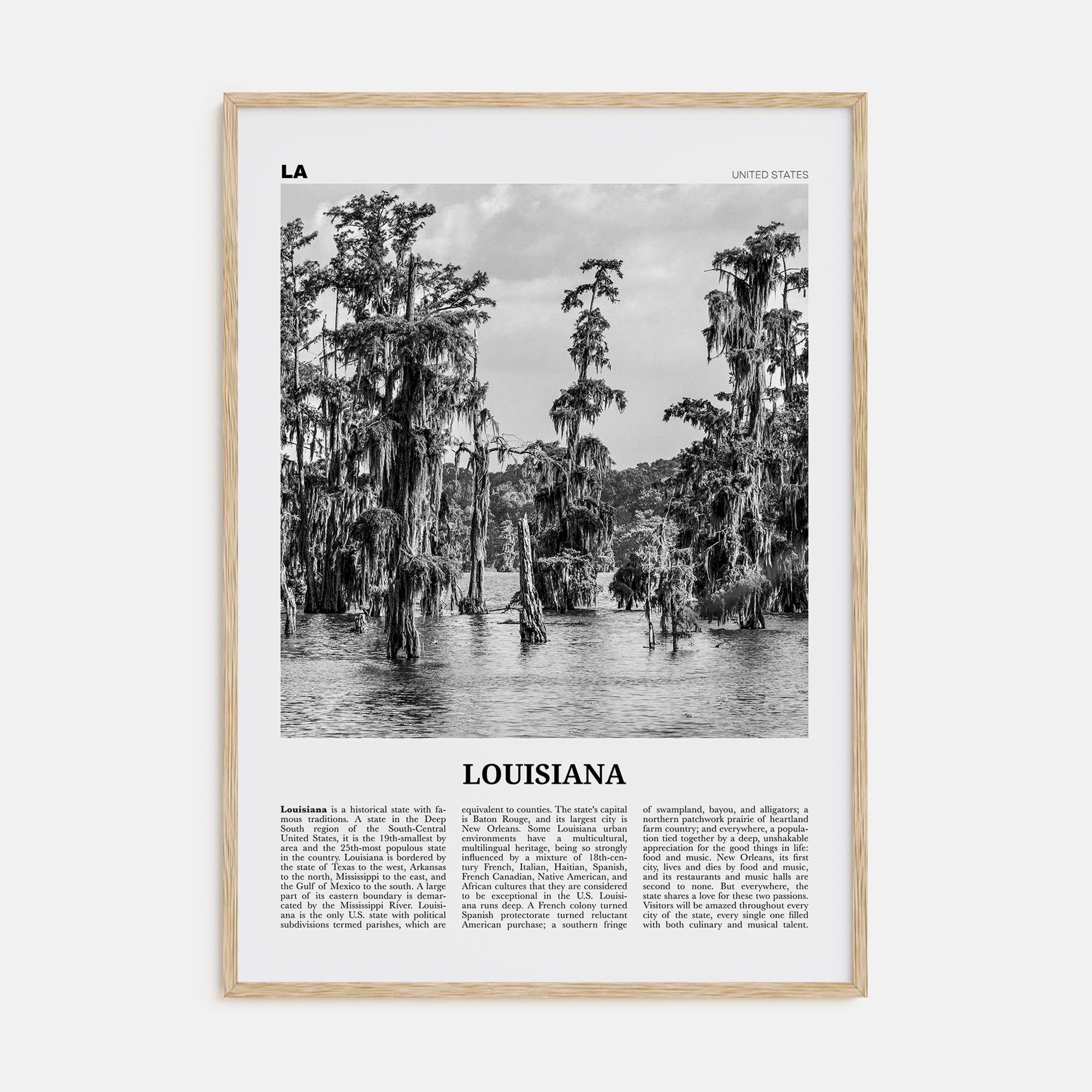 Louisiana Travel B&W No 1 Poster