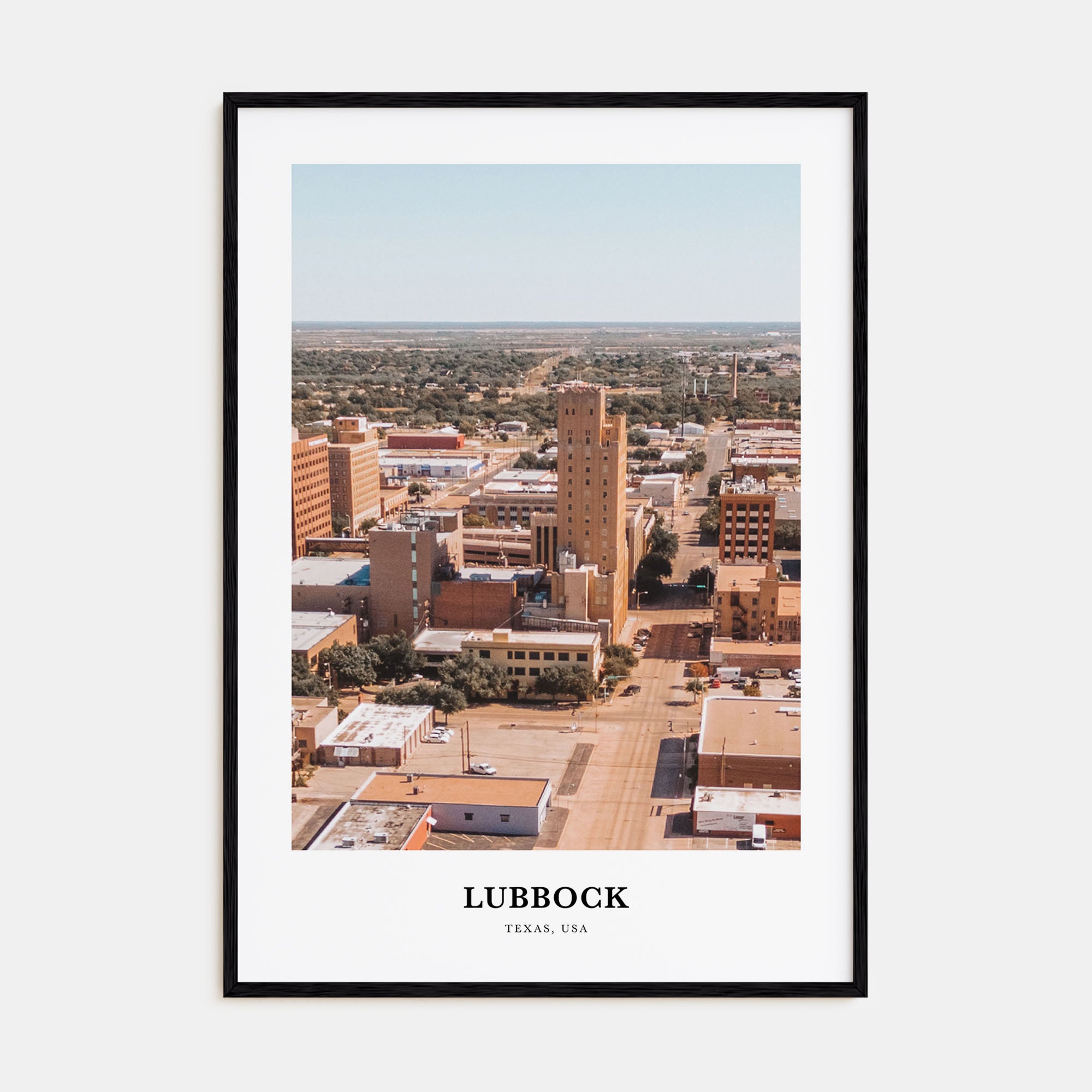 Lubbock Portrait Color Poster