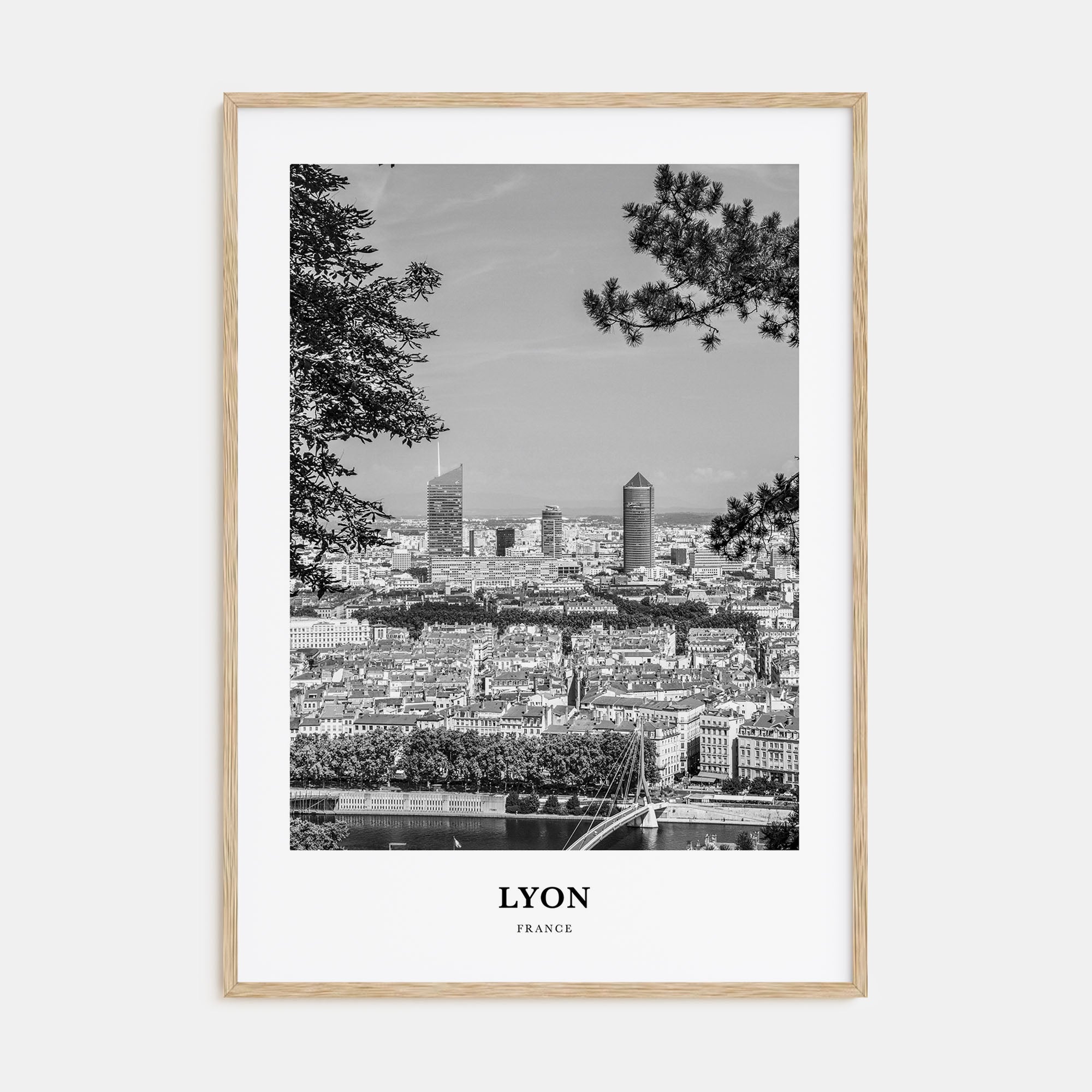 Lyon Portrait B&W No 1 Poster