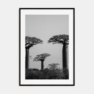 Madagascar Photo B&W Poster