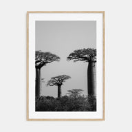 Madagascar Photo B&W Poster