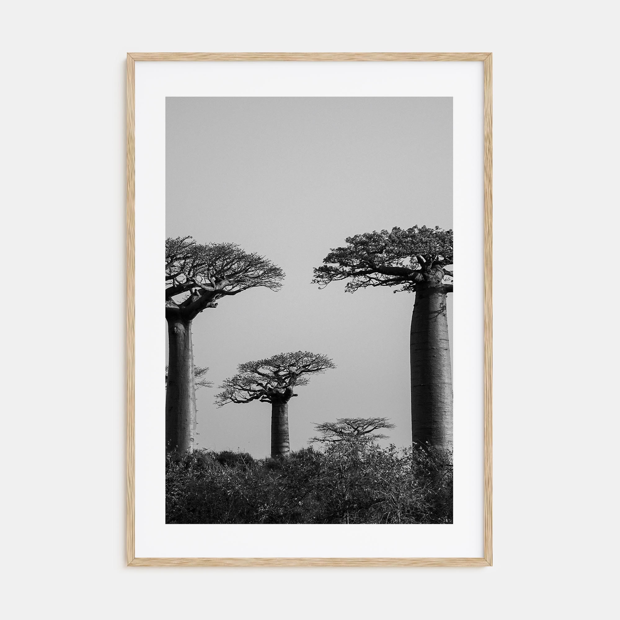 Madagascar Photo B&W Poster