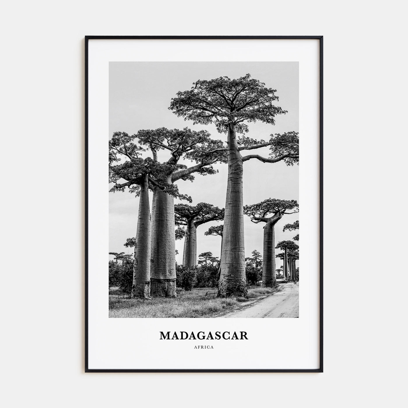 Madagascar Portrait B&W Poster
