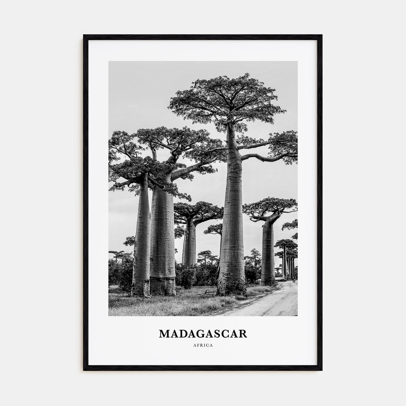 Madagascar Portrait B&W Poster