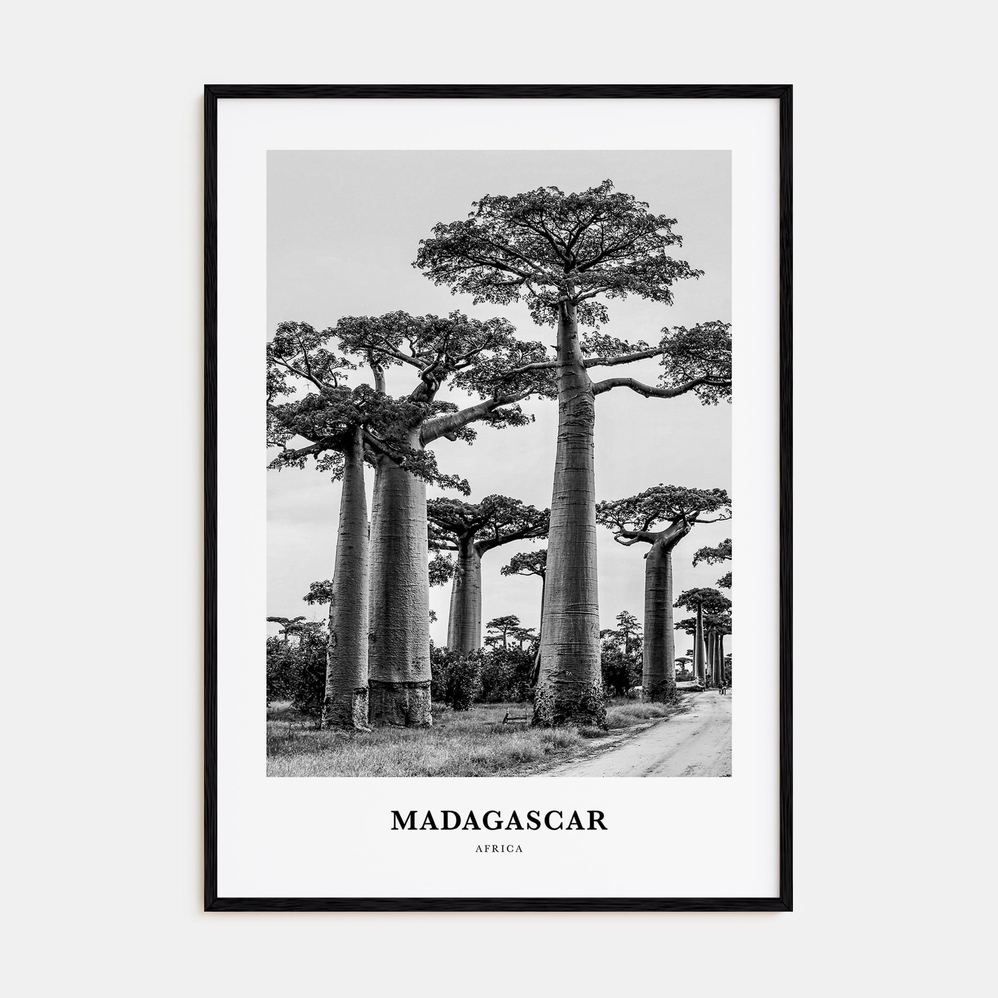 Madagascar Portrait B&W Poster