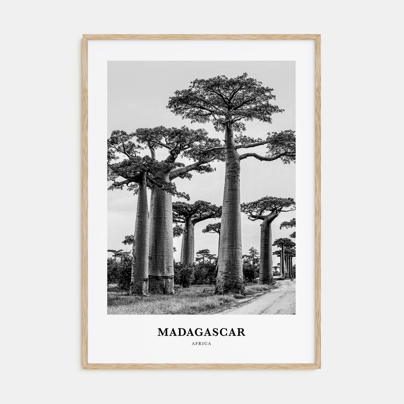 Madagascar Portrait B&W Poster