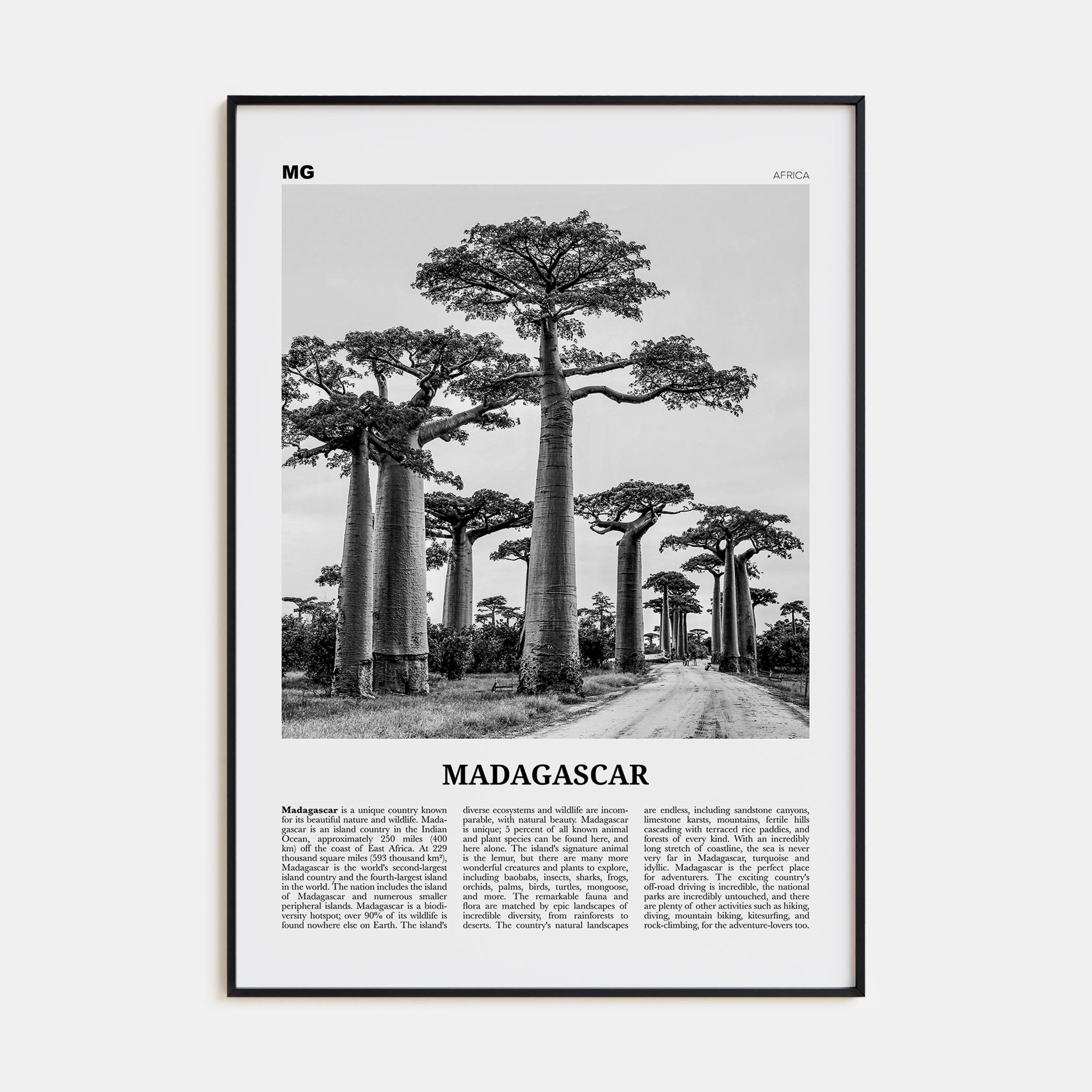 Madagascar Travel B&W Poster