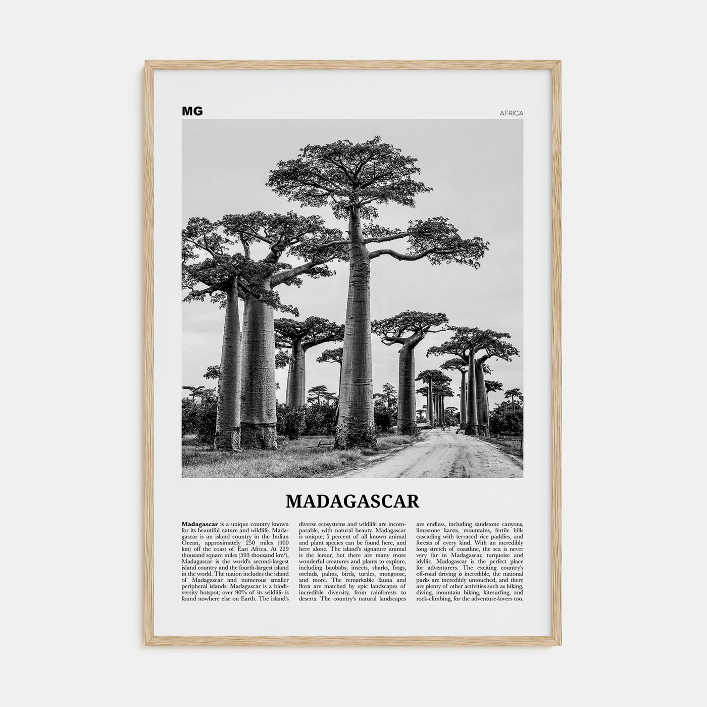 Madagascar Travel B&W Poster
