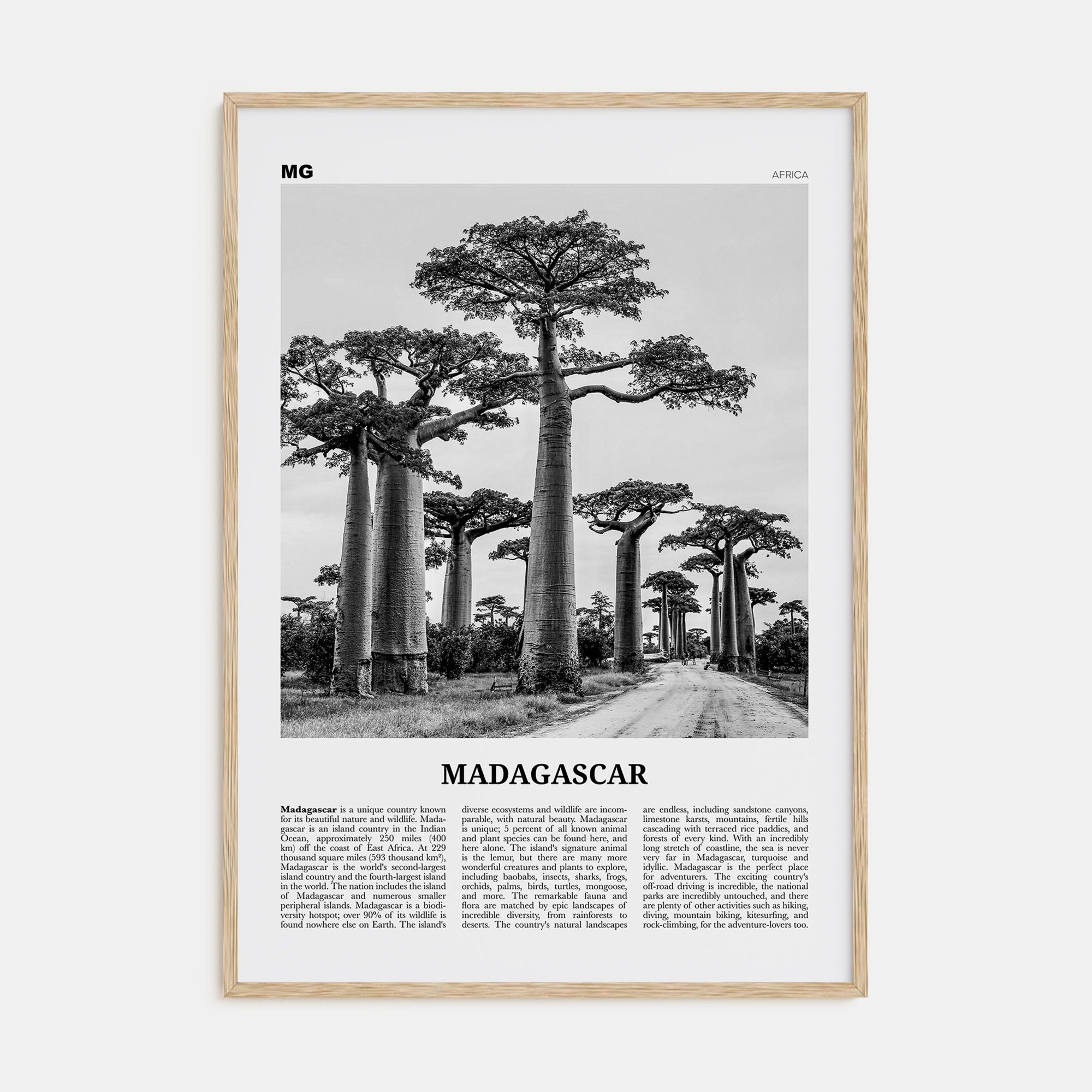Madagascar Travel B&W Poster