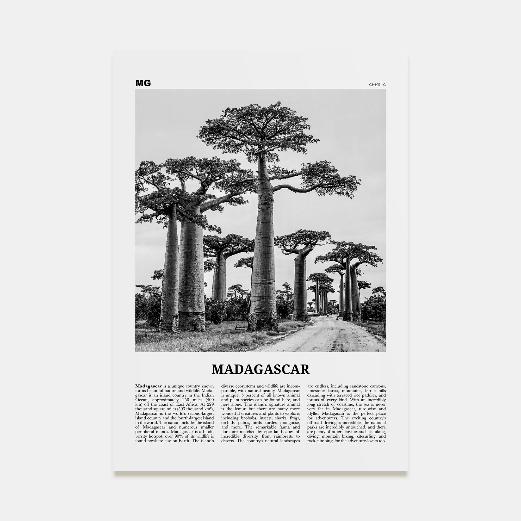 Madagascar Travel B&W Poster