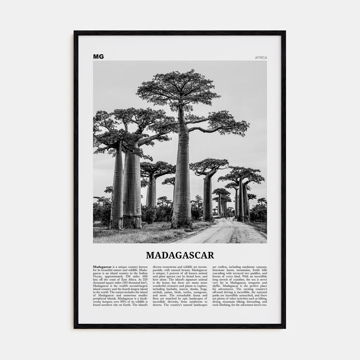 Madagascar Travel B&W Poster