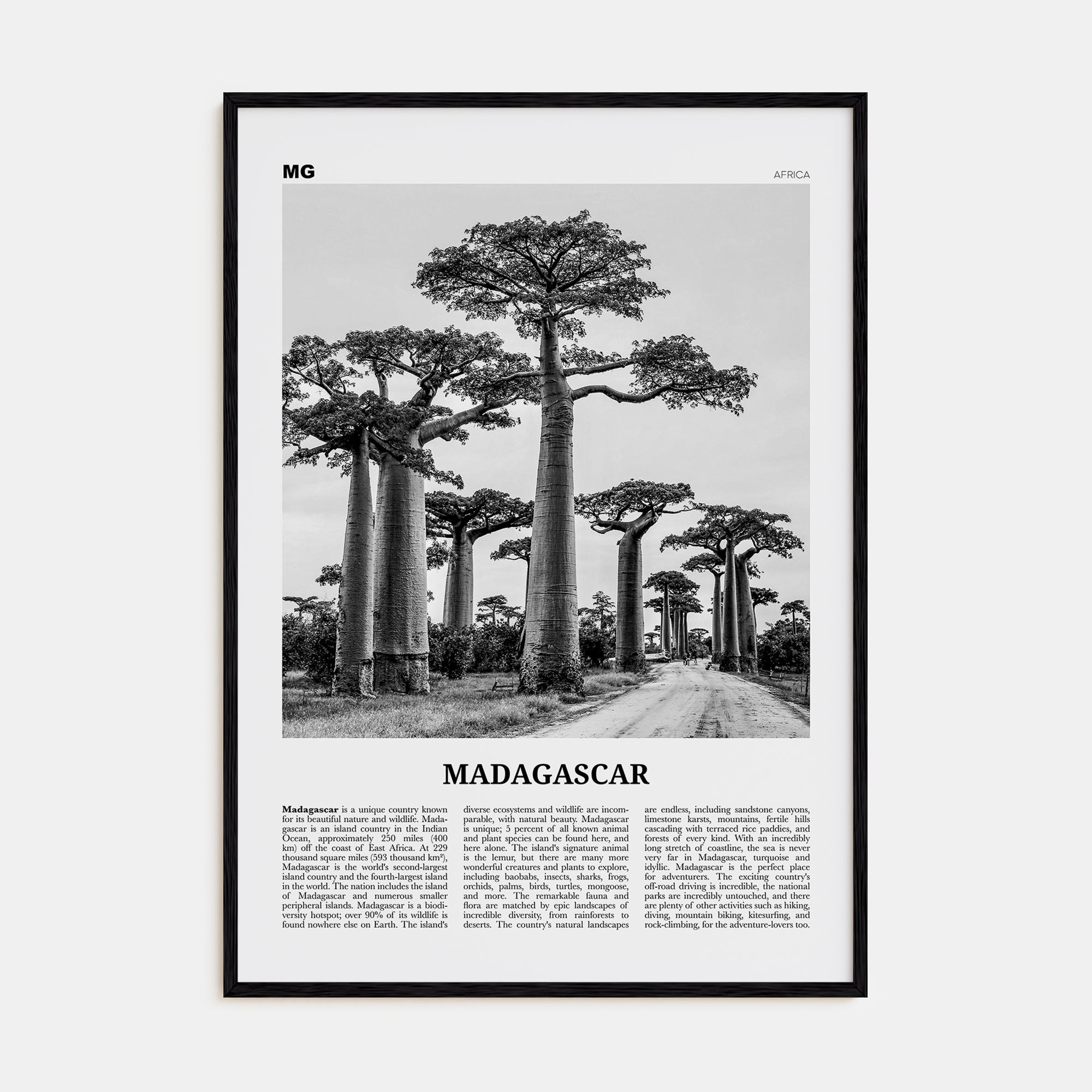 Madagascar Travel B&W Poster