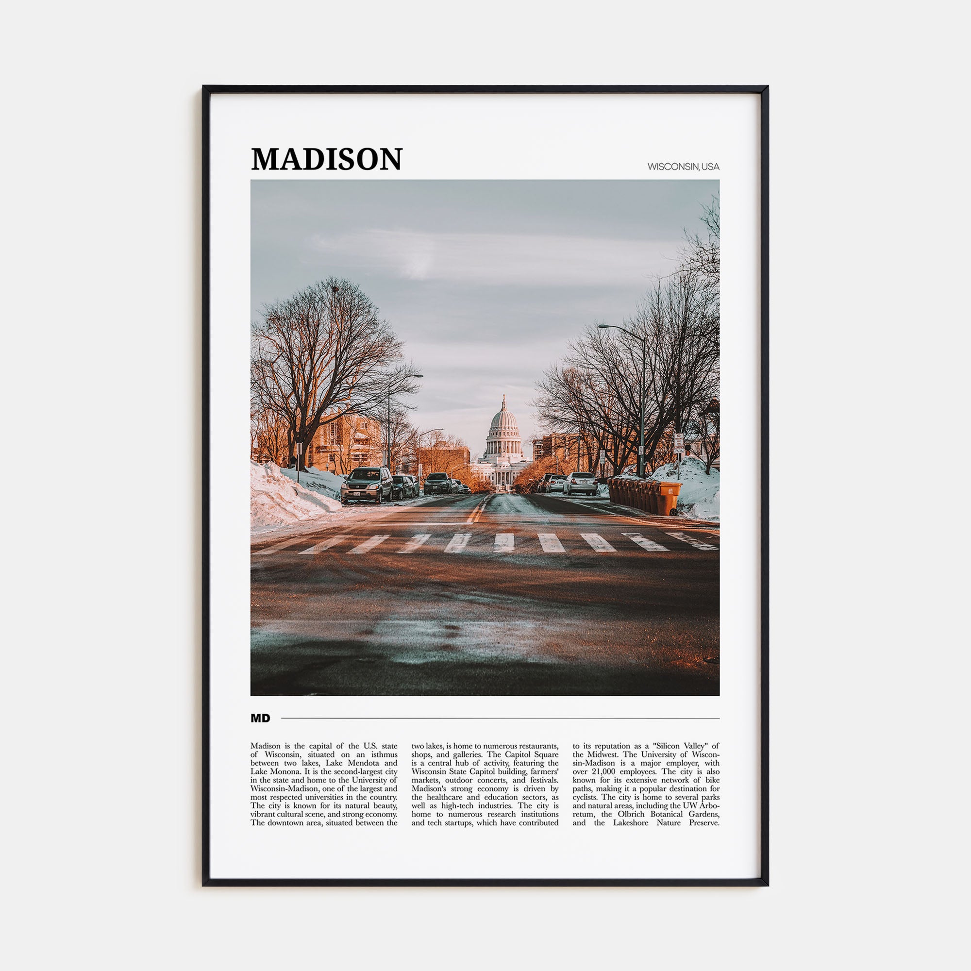 Madison Travel Color Poster