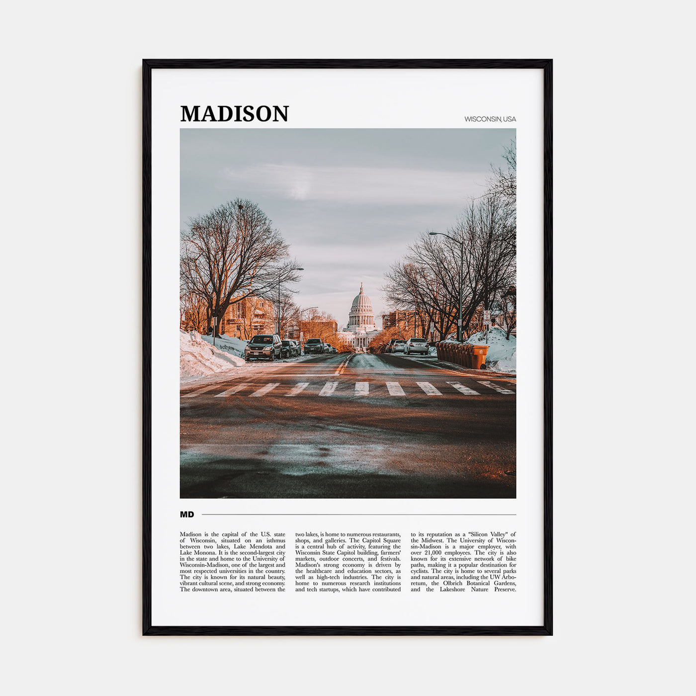 Madison Travel Color Poster
