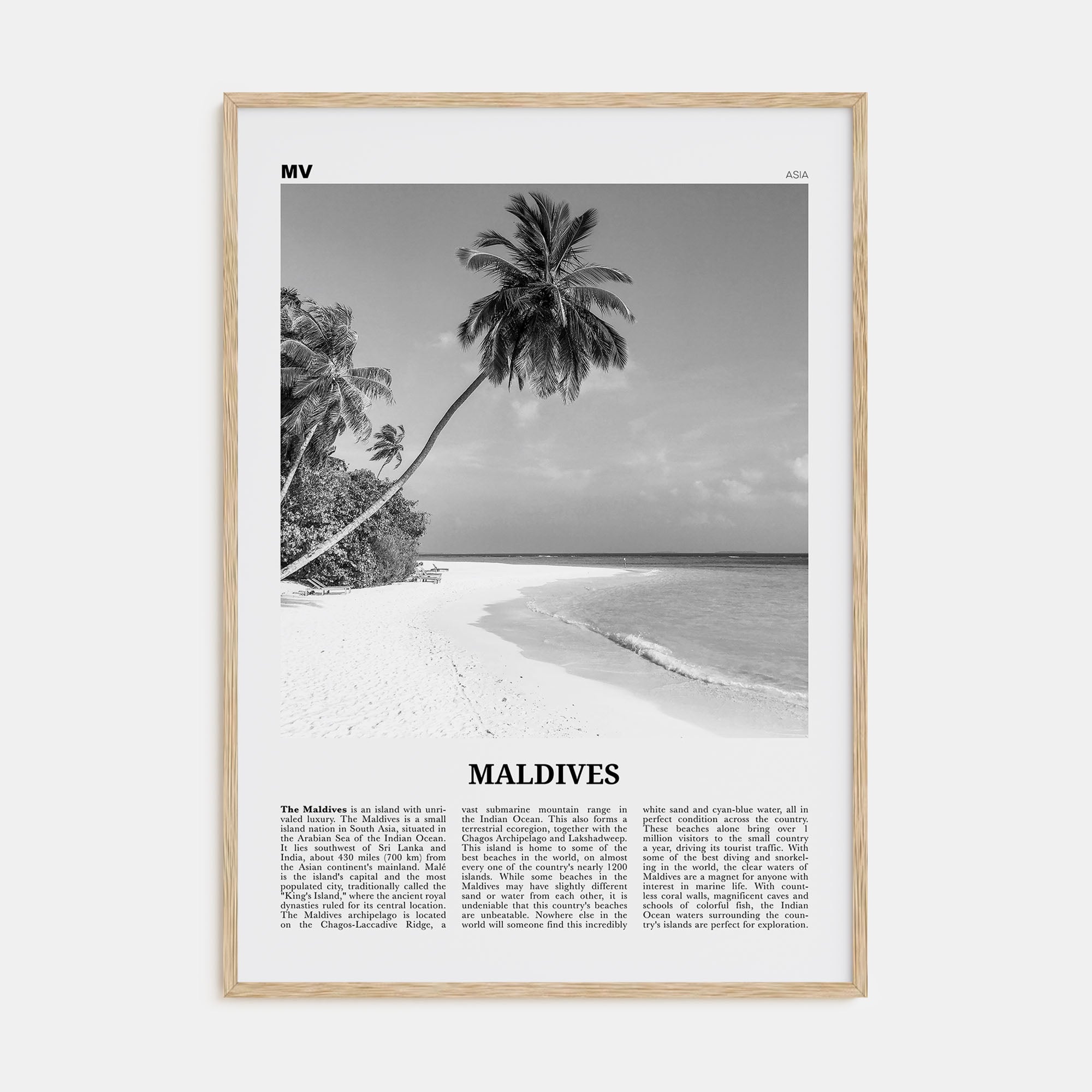 Maldives Travel B&W No 1 Poster