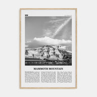Mammoth Mountain Travel B&W Poster