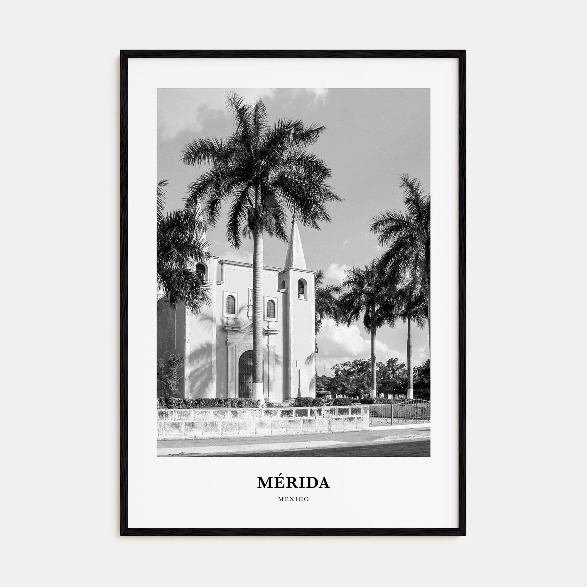 Mérida Portrait B&W Poster