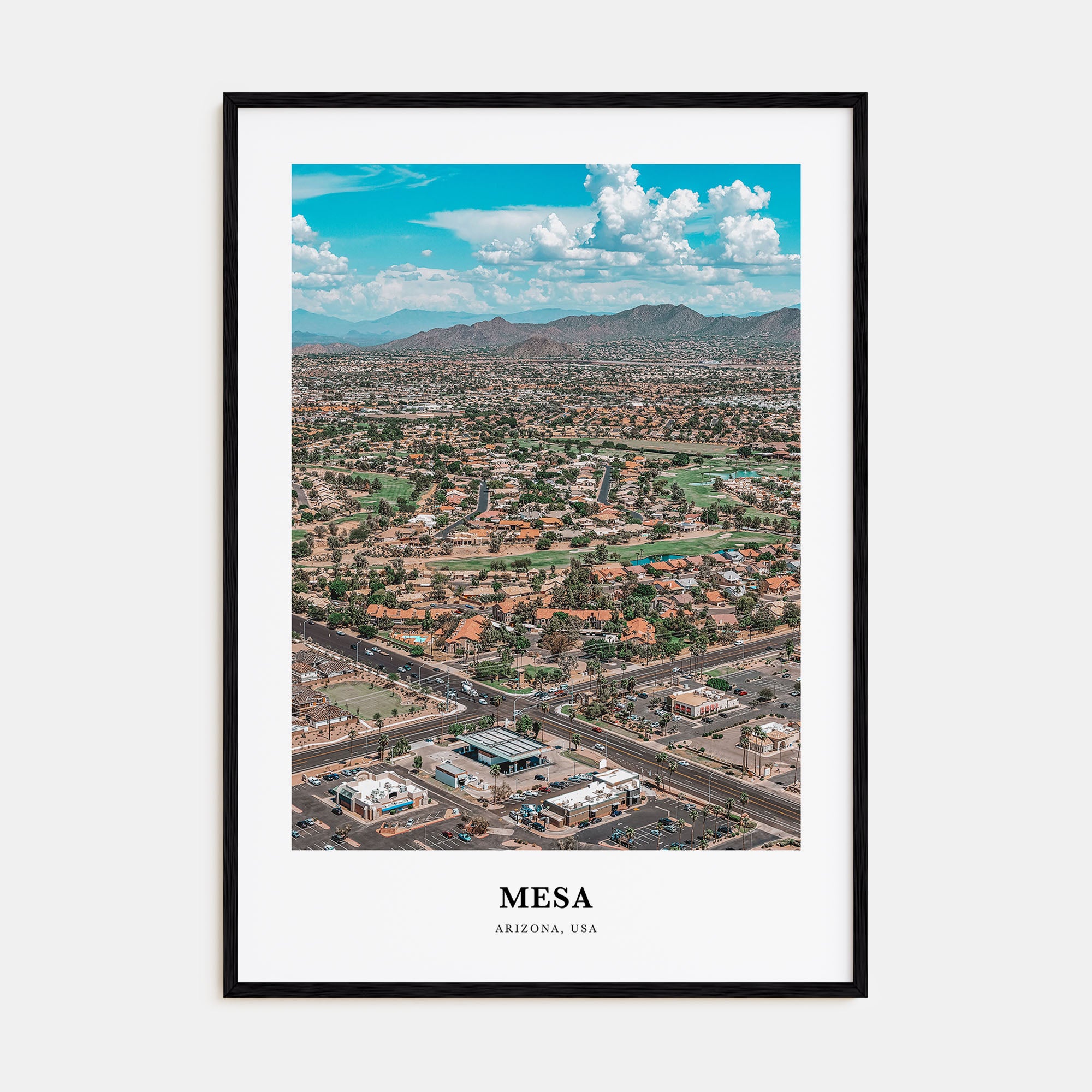 Mesa Portrait Color Poster