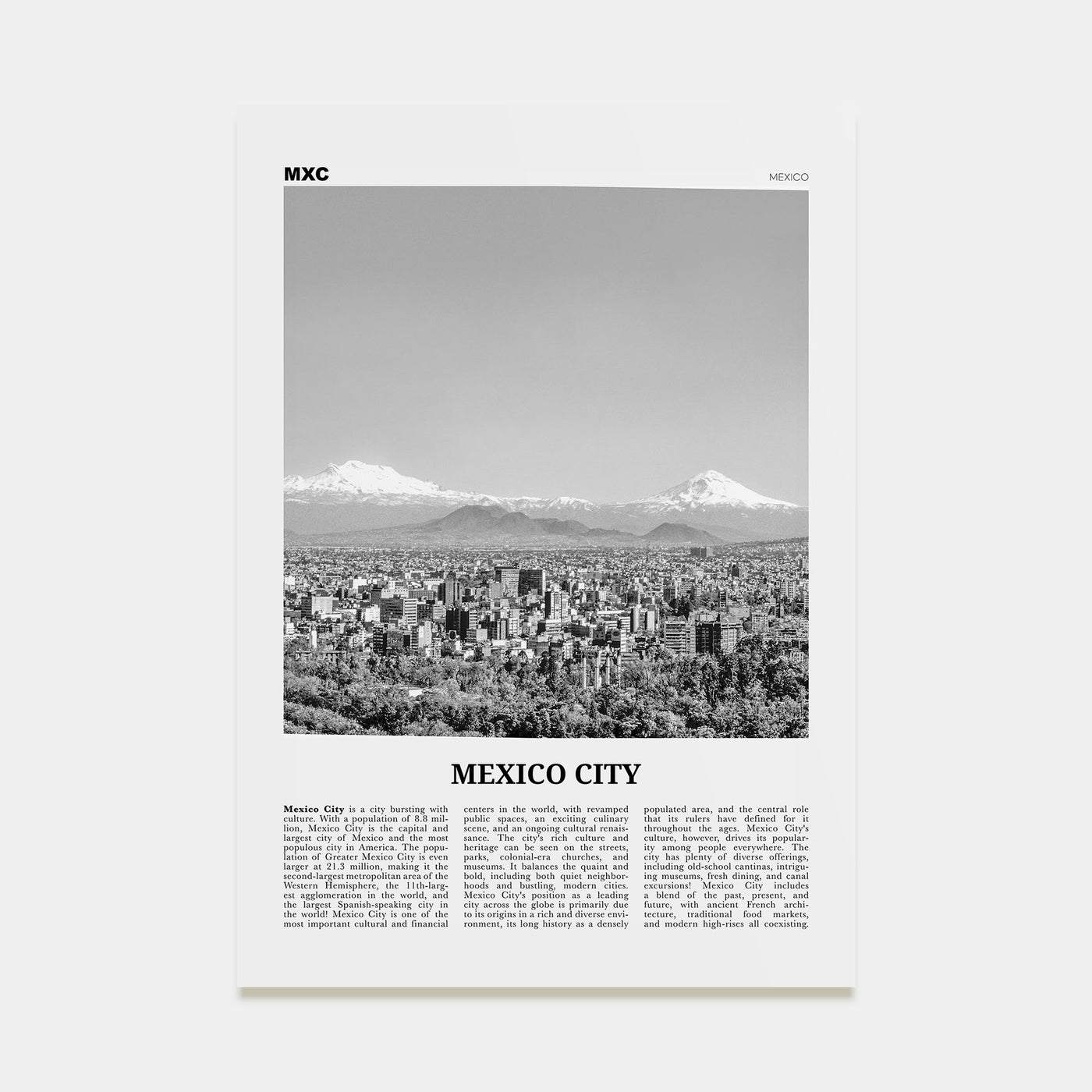 Mexico City Travel B&W No 2 Poster