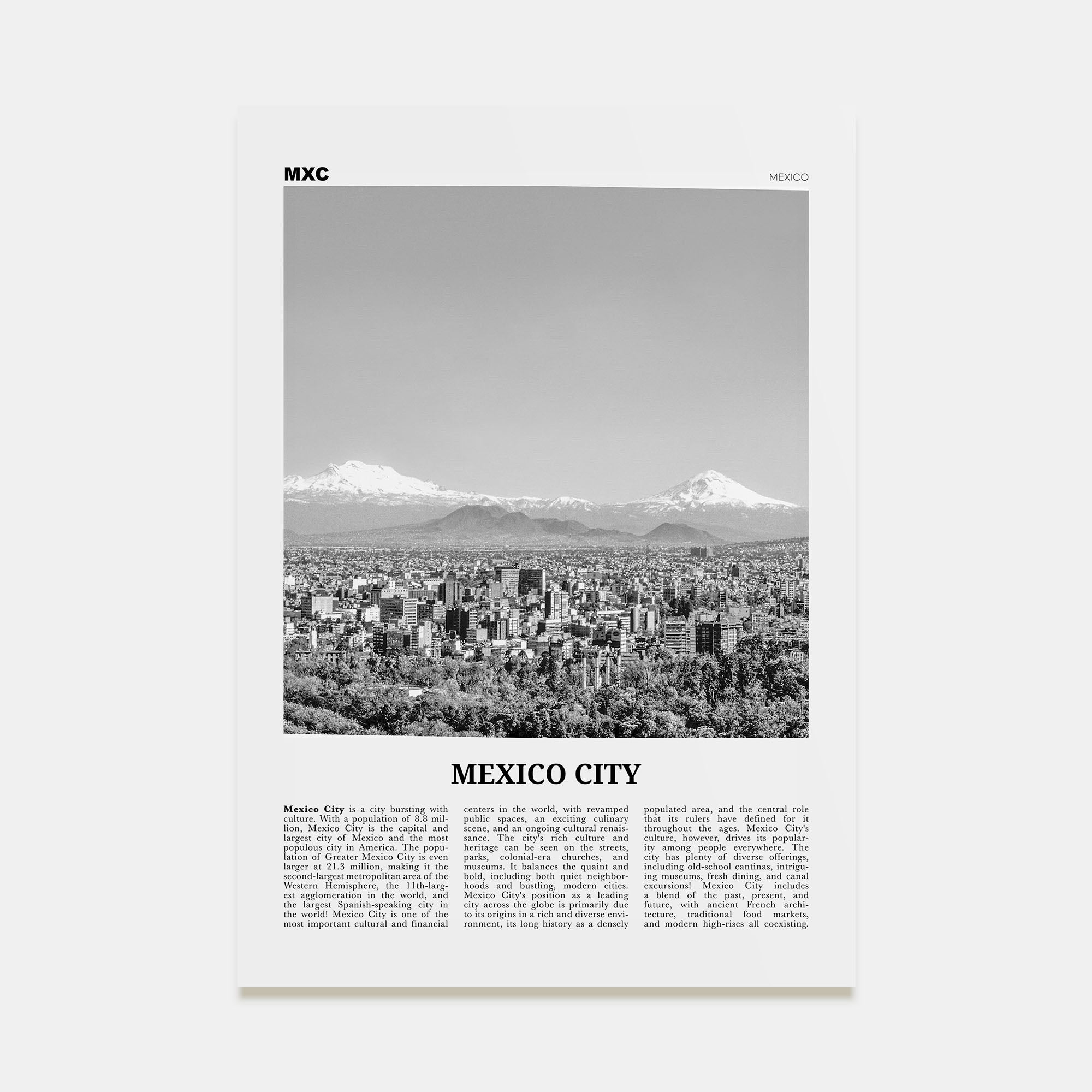 Mexico City Travel B&W No 2 Poster