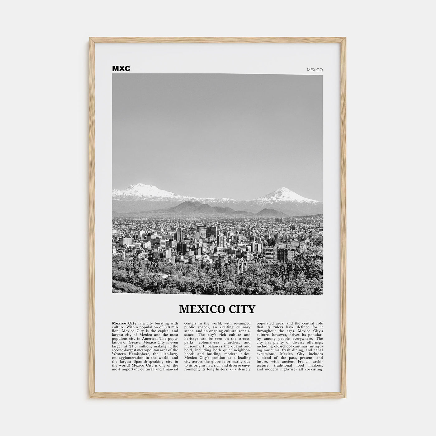 Mexico City Travel B&W No 2 Poster