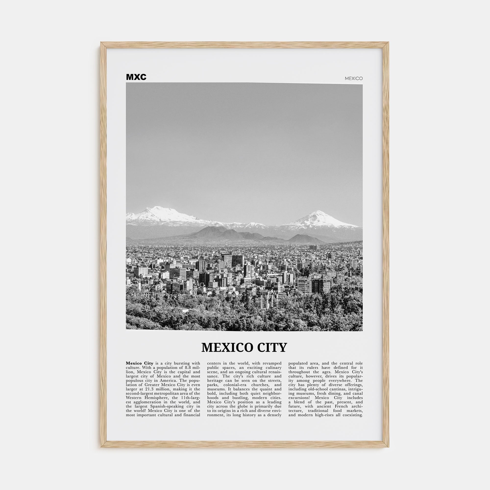 Mexico City Travel B&W No 2 Poster