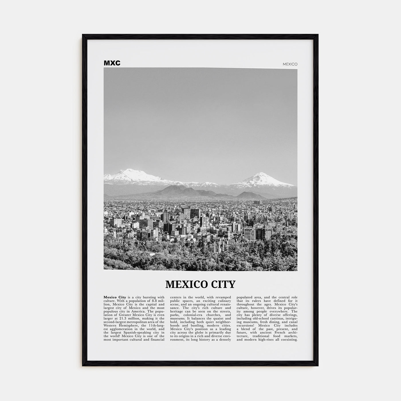 Mexico City Travel B&W No 2 Poster