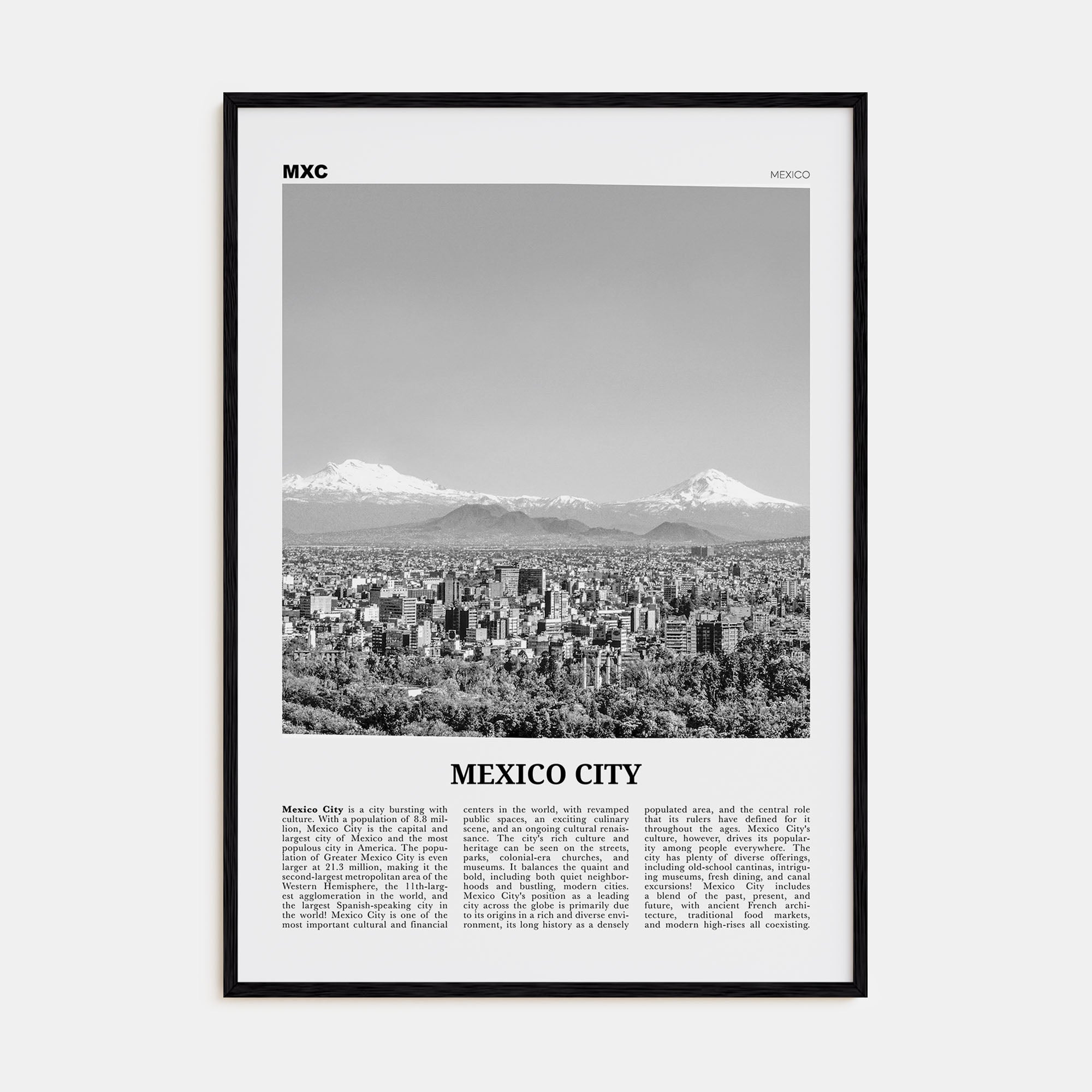 Mexico City Travel B&W No 2 Poster