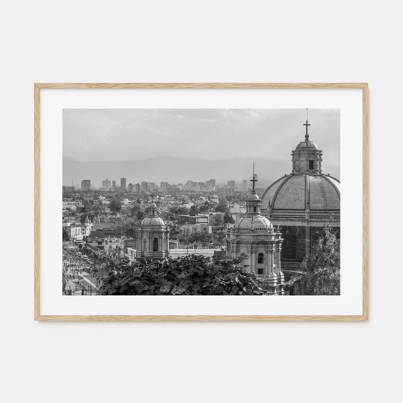 Mexico Landscape B&W Poster