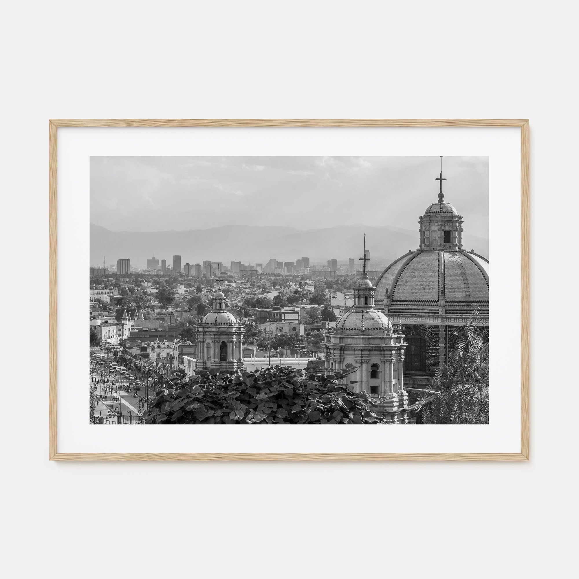 Mexico Landscape B&W Poster