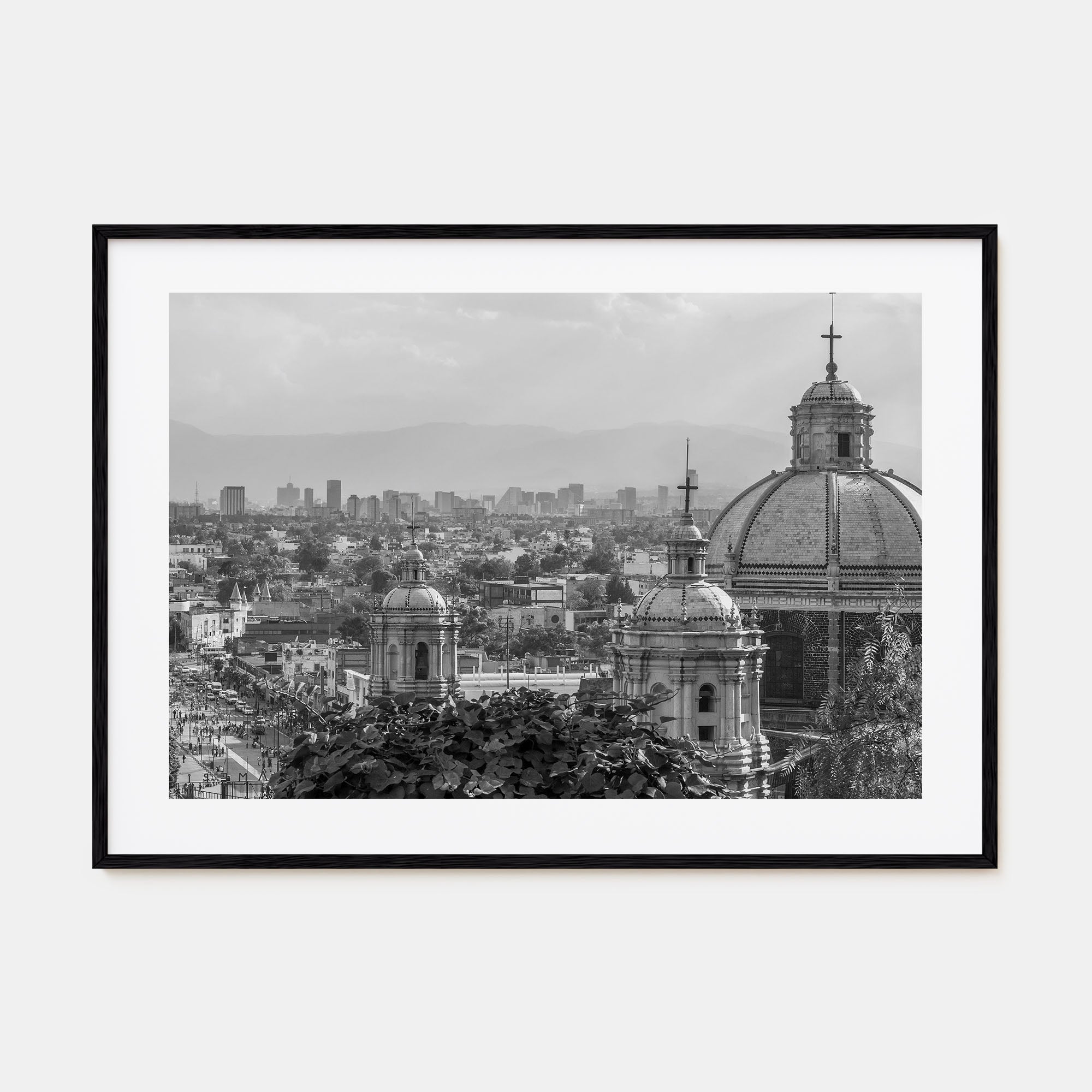 Mexico Landscape B&W Poster