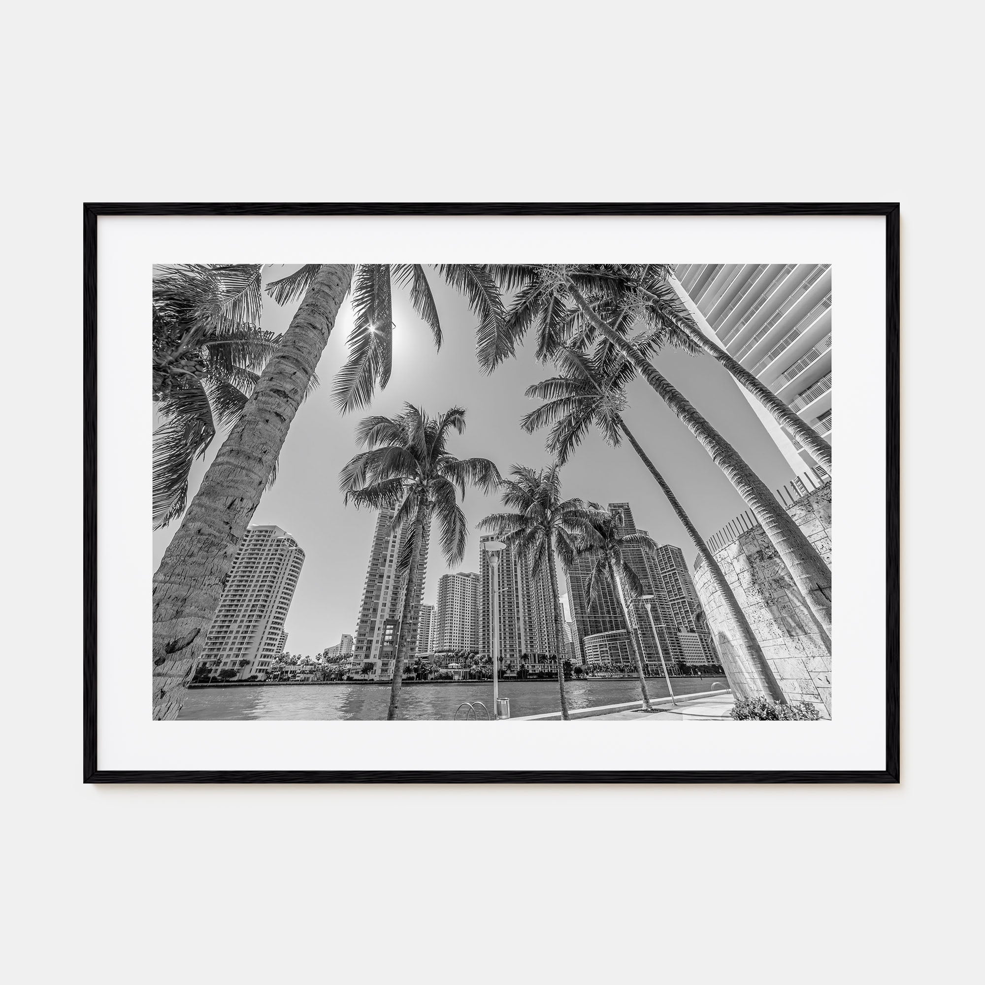 Miami Landscape B&W Poster