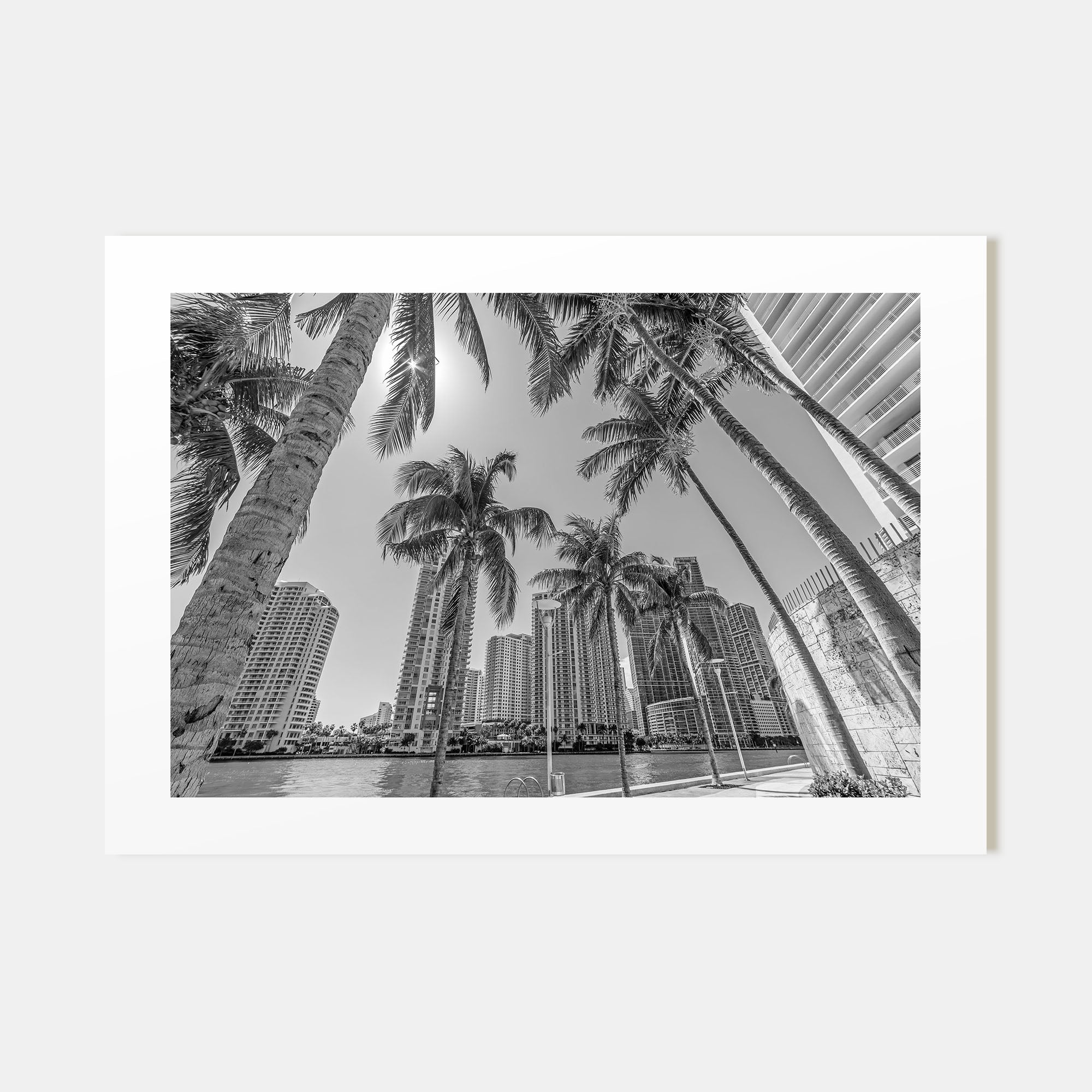 Miami Landscape B&W Poster